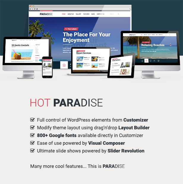 Hot Paradise Theme Features